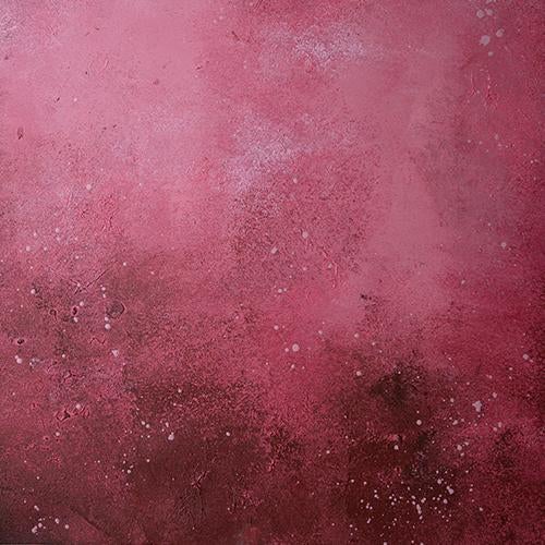 Rentals -Rose Anne  - Printed Baby Backdrops - 5 by 6 feet - Fabric