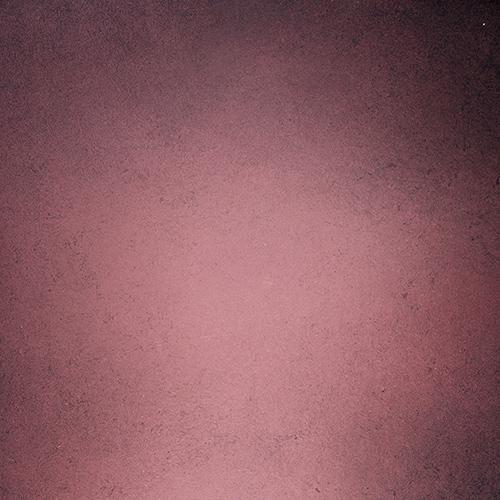 Rentals - Mauve  - Printed Baby Backdrops - 5 by 6 feet - Fabric