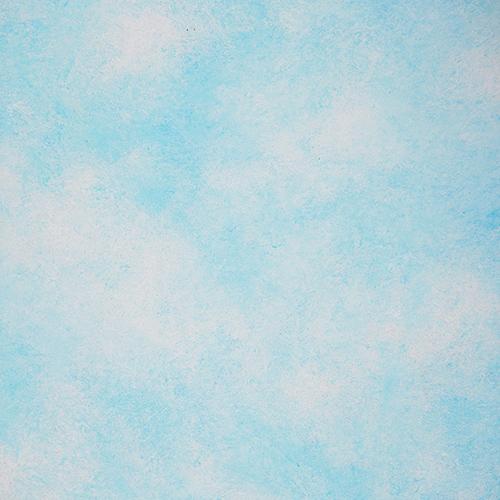 Rentals - Sky - Printed Baby Backdrops - 5 by 6 feet