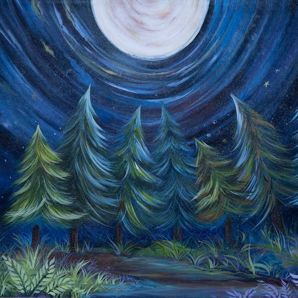 Rentals - Starry Night - Printed Baby Backdrops - 5 by 6 feet