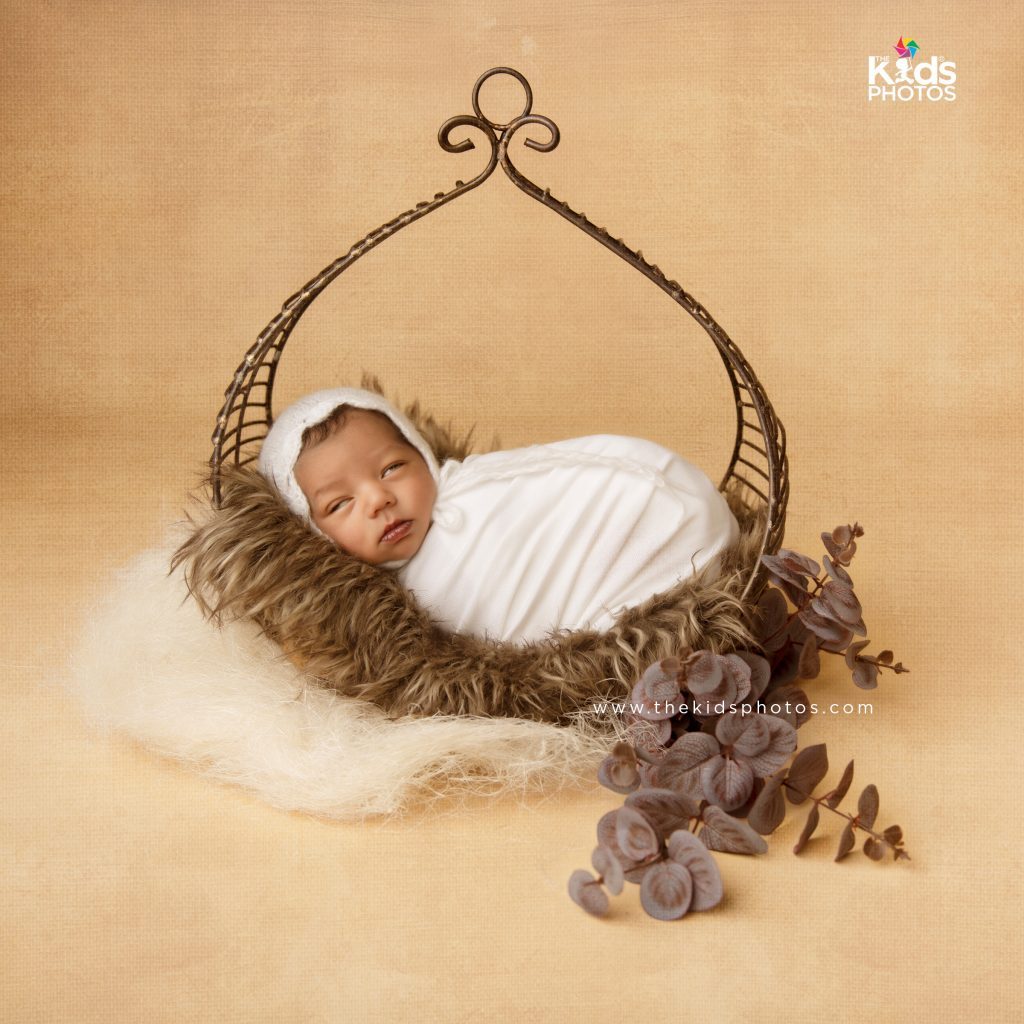 Rental - Newborn Brass Swing