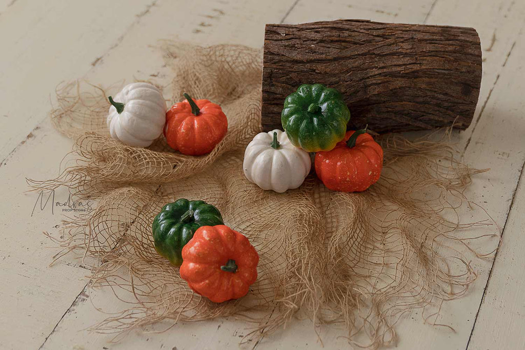 Rentals - Mini Pumpkins