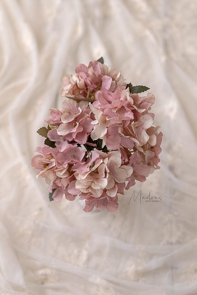 Rental - Hydrangea