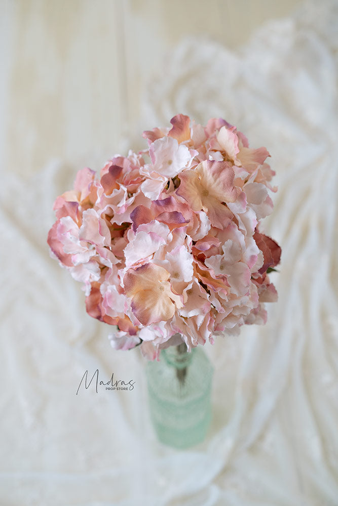 Rental - Premium Hydrangeas