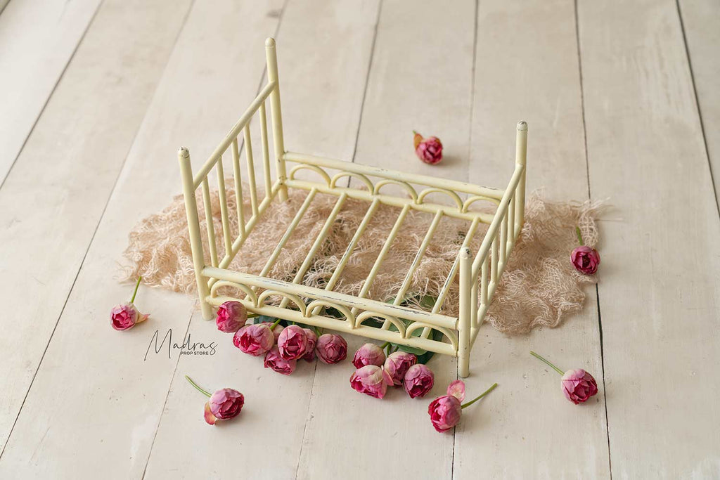 Rentals - New Born Golden Bed & Rustic White Bed