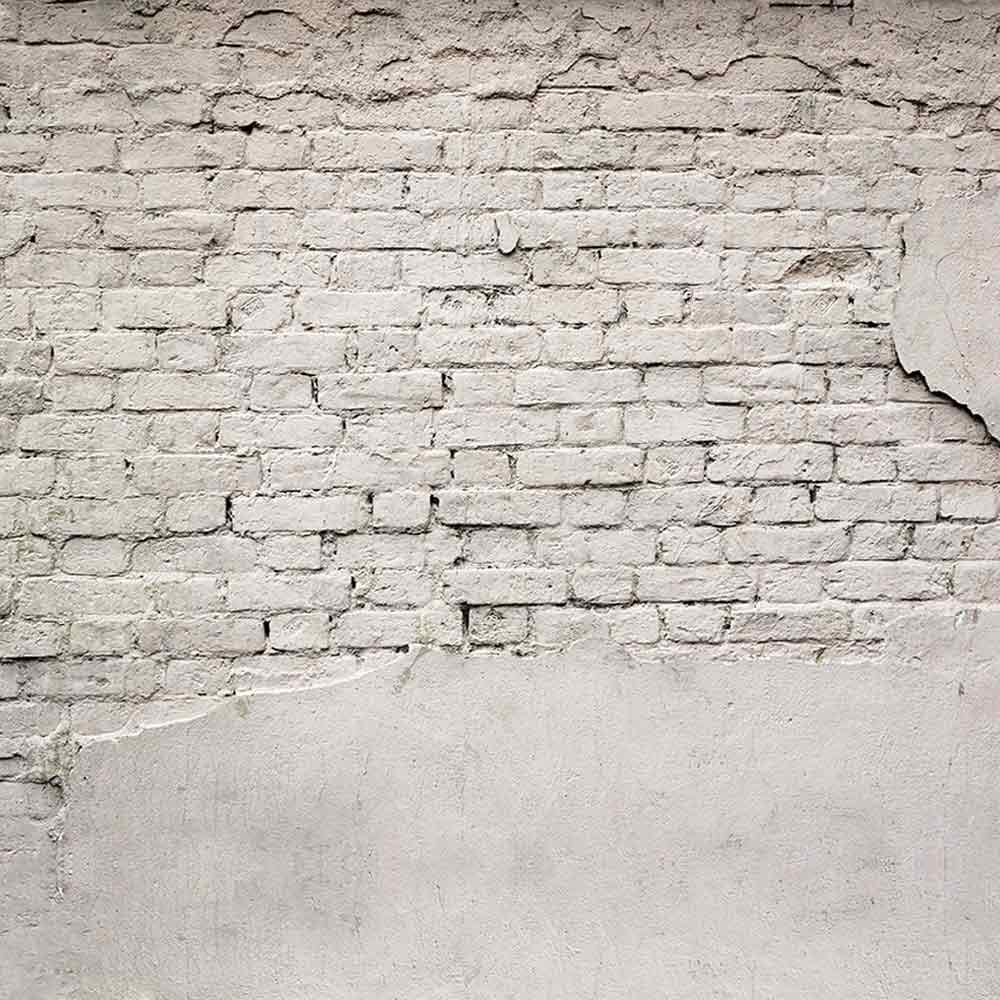 Rentals - Cracked Brick Wall - Printed Baby Backdrops - 5 by 6 feet - Fabric