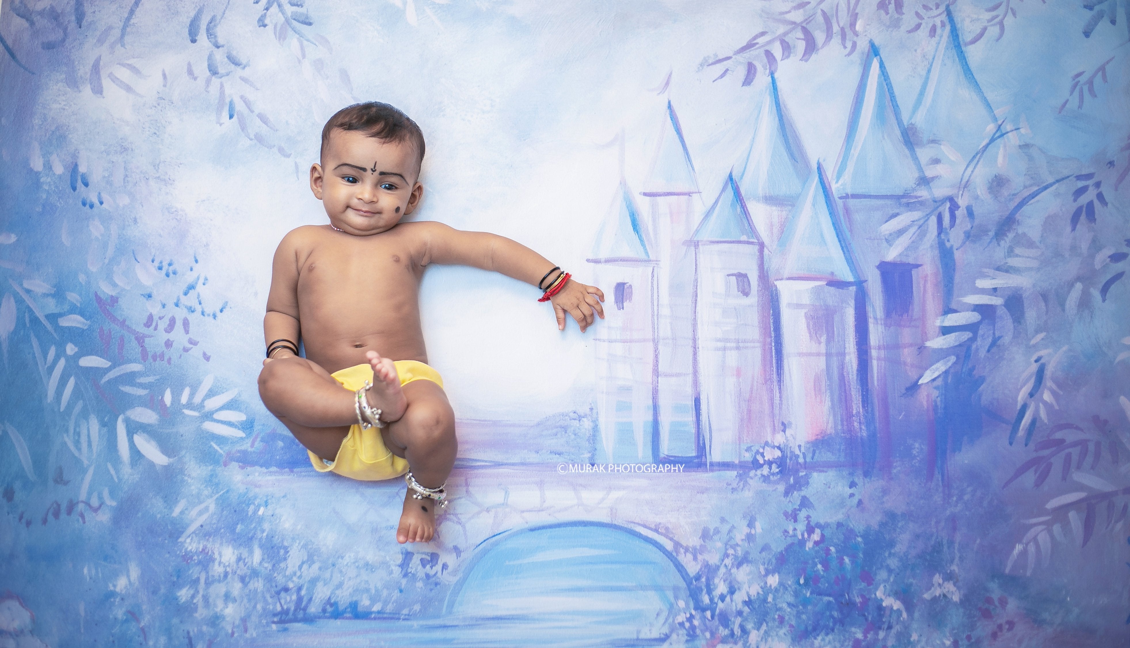 Rental - Dream Castle - Printed Baby Backdrops - 5 by 4 feet