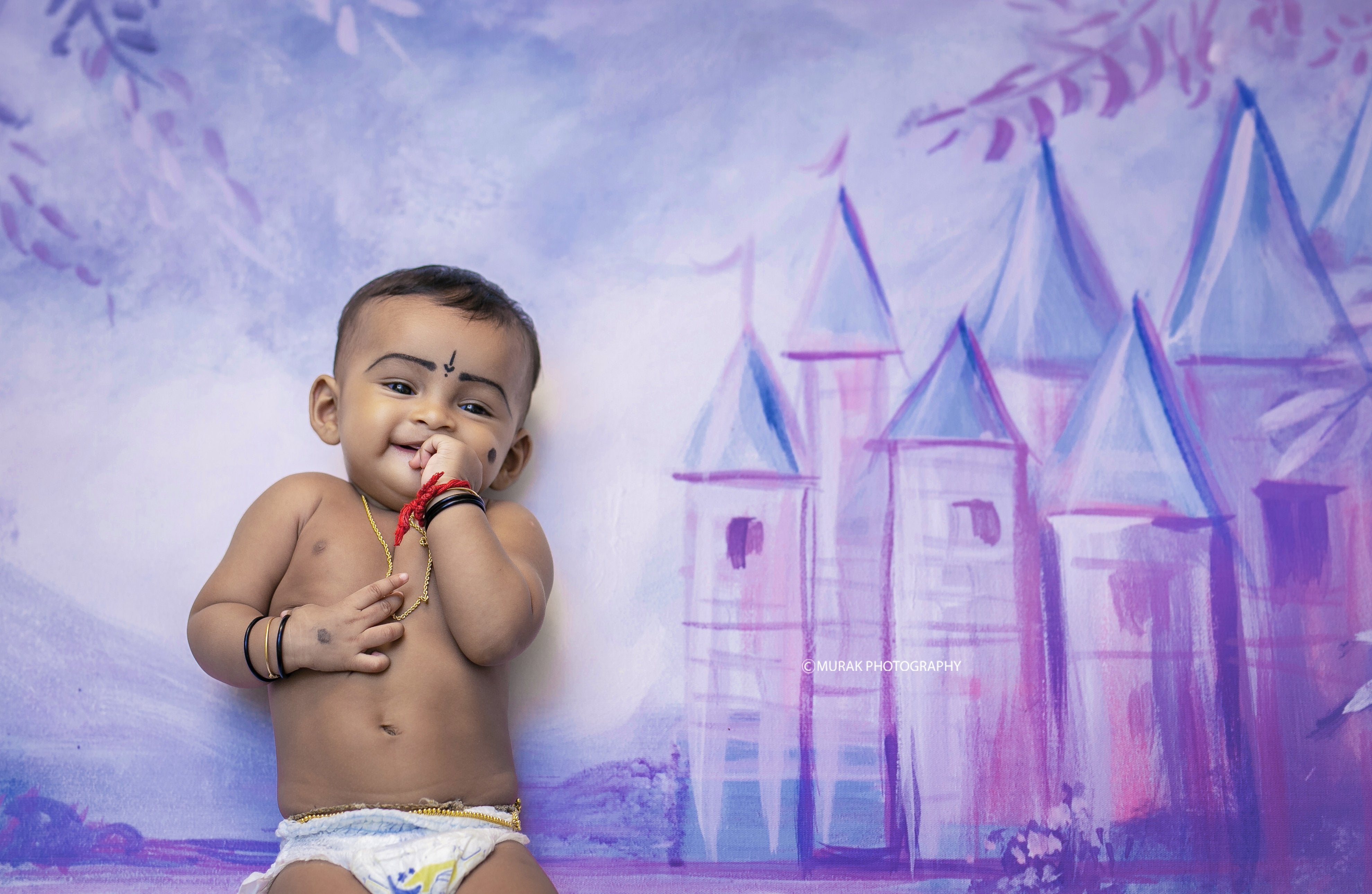 Rental - Dream Castle - Printed Baby Backdrops - 5 by 4 feet