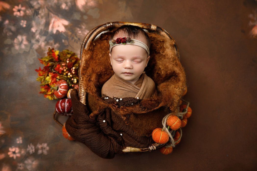 Rental - Fall Backdrop - Printed Baby Backdrops - 5 by 4 feet