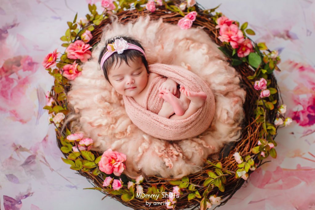 Rentals - Pink Floral - Printed Baby Backdrops