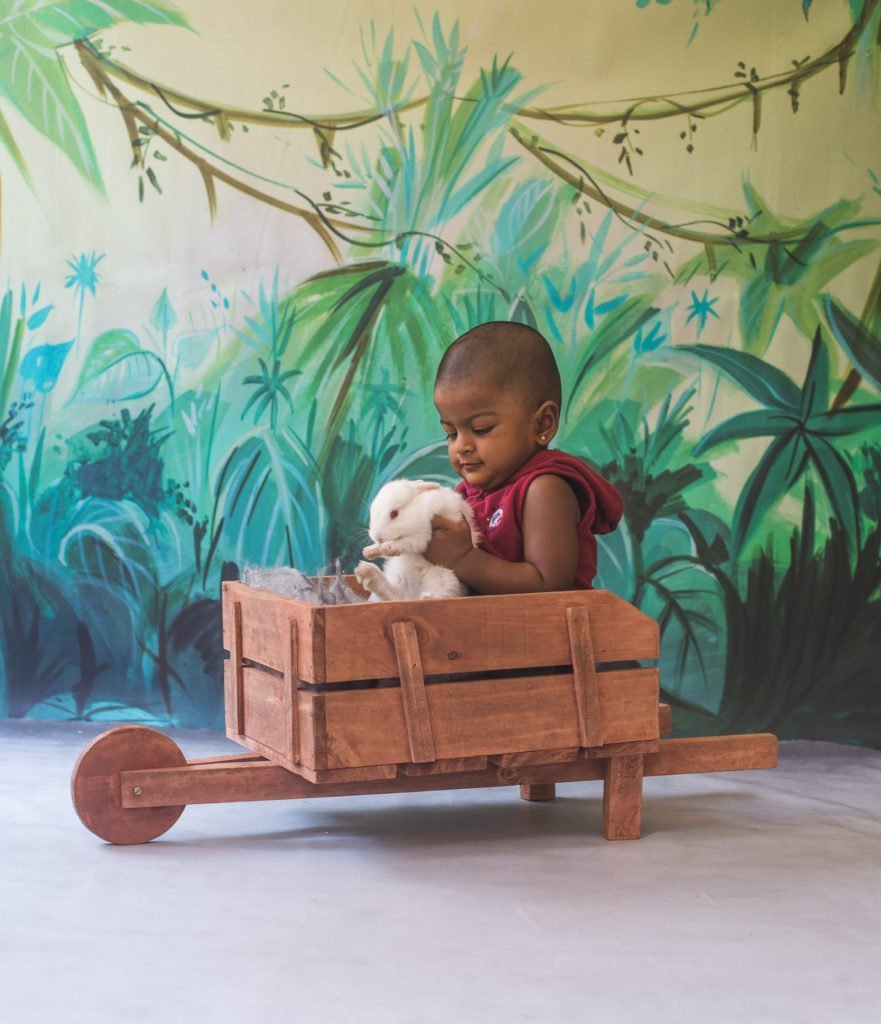 Rental - Mini Push Cart