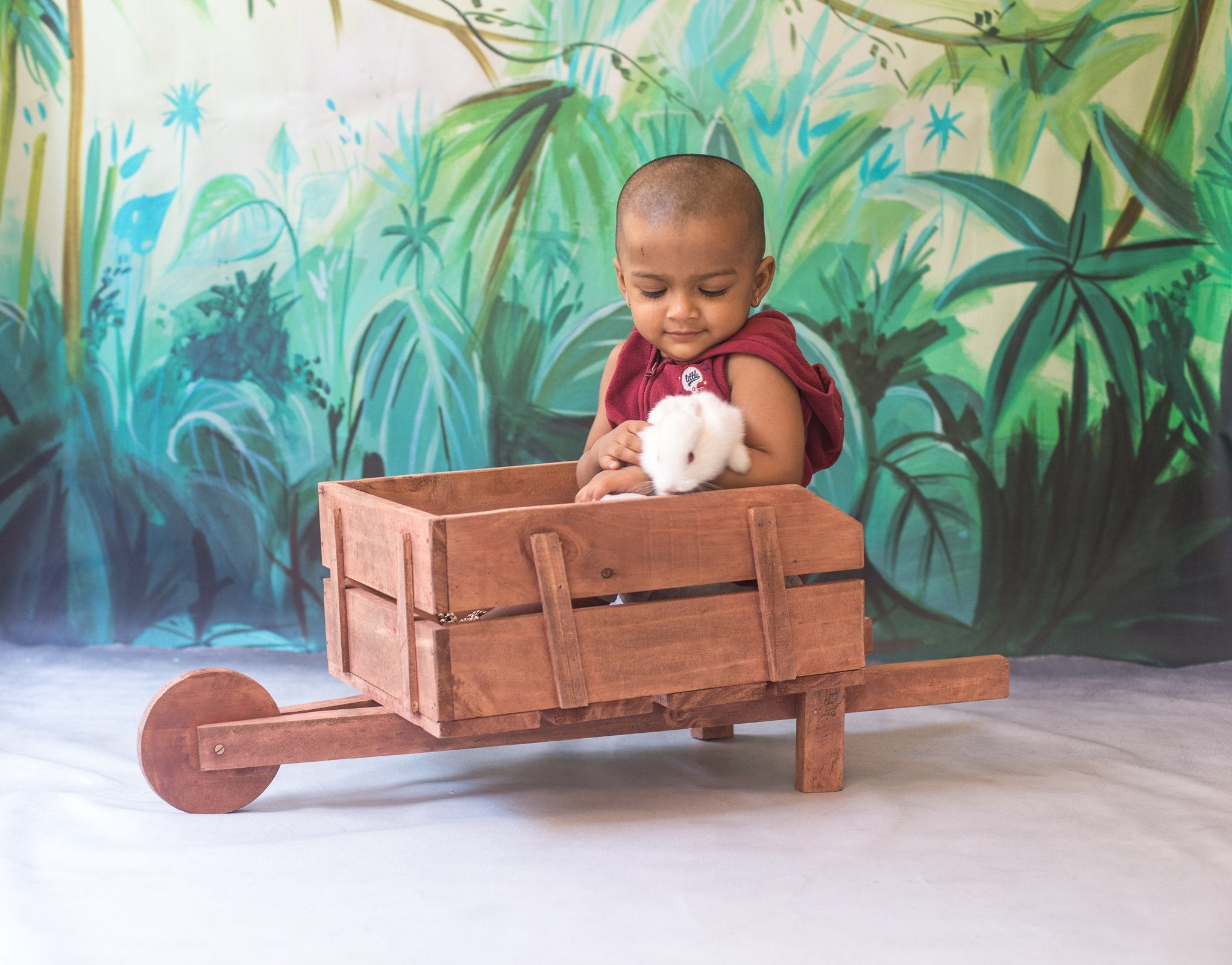 Rental - Forest - Printed Baby Backdrops - 5 by 4 feet